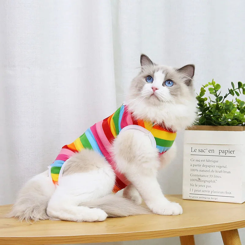 Cat Recovery Vest – Soft Anti-Licking Protector for Post-Surgery Care