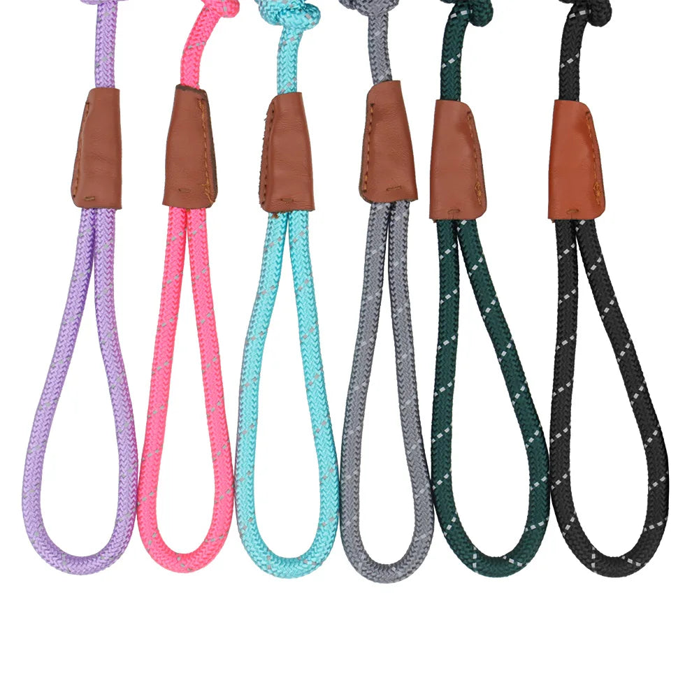 A set of five reflective P-shape dog leashes in various colors including purple, pink, teal, gray, and black.