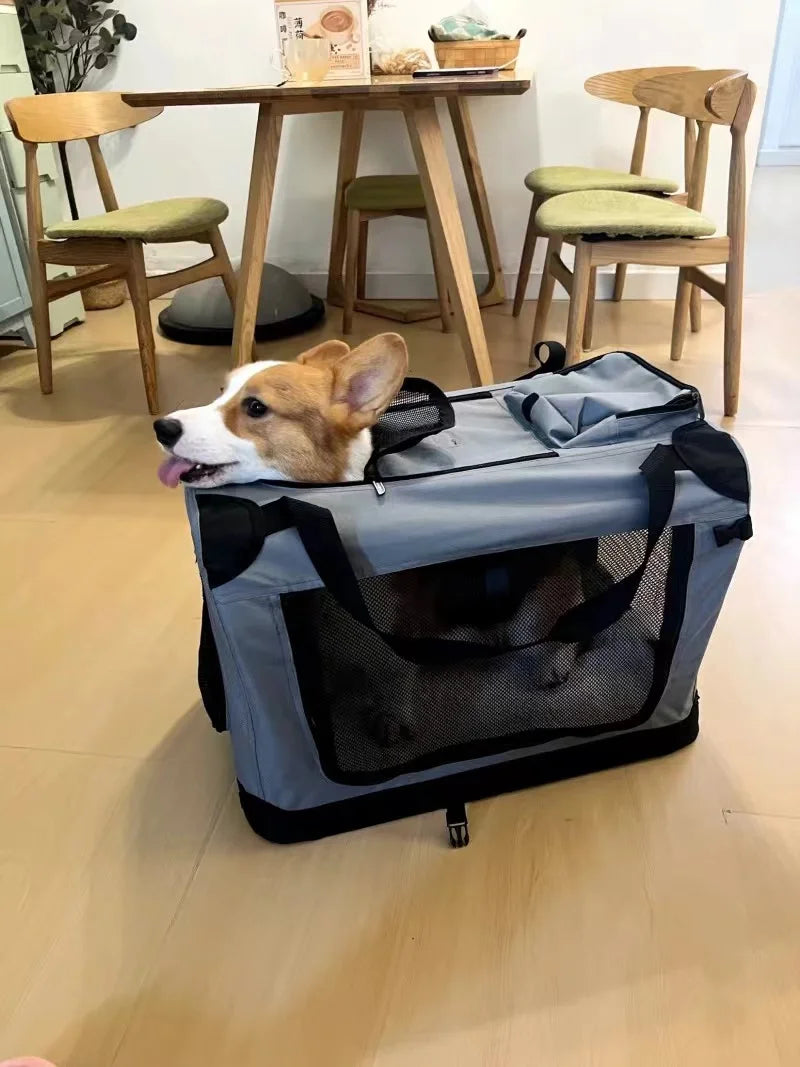 Transportín Plegable para Mascotas con Interior Acolchado
