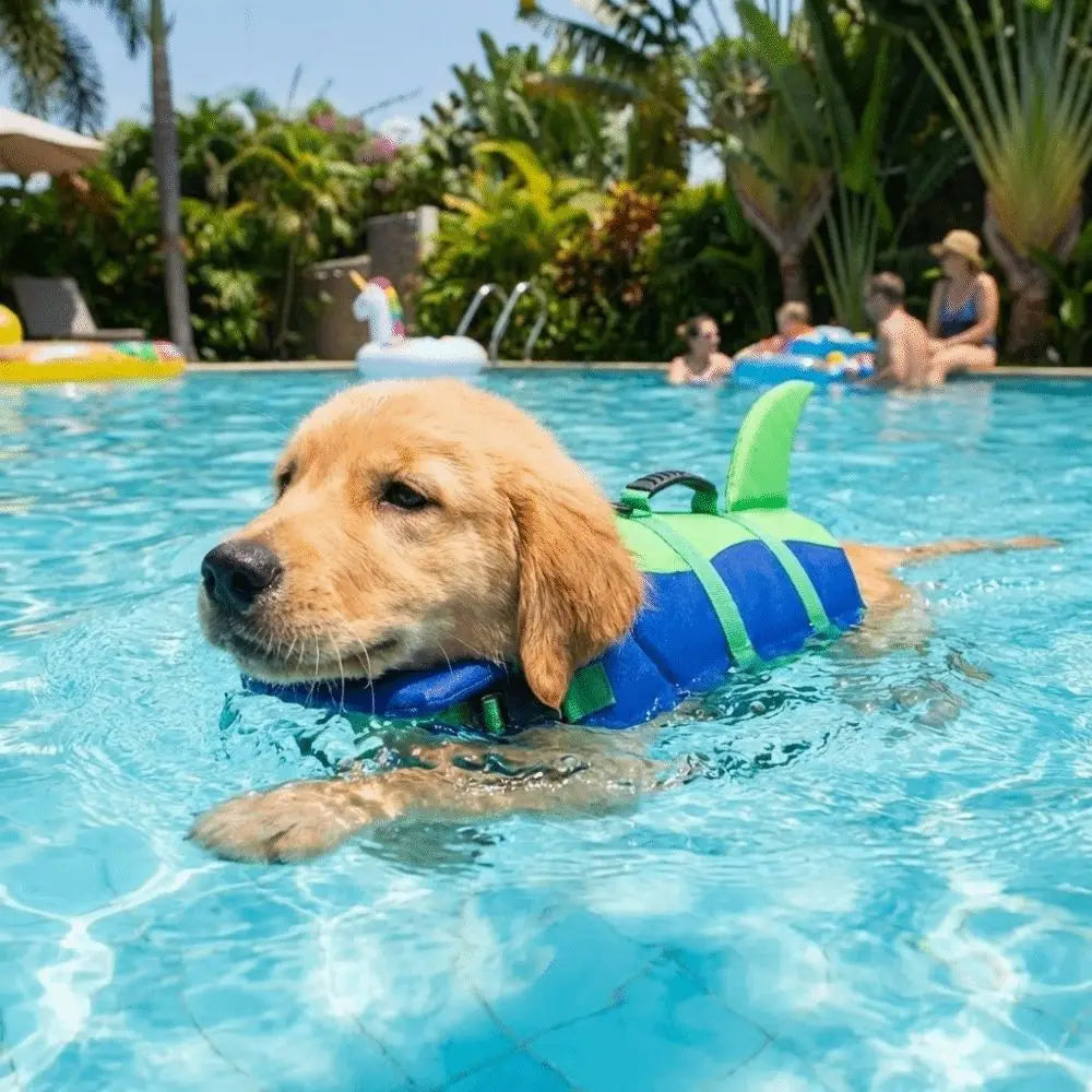 Shark-Shaped Dog Life Vest with High-Visibility Safety Features