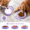 Anti-Gulping Maze Slow Feeder Dog Bowl with Non-Slip Base
