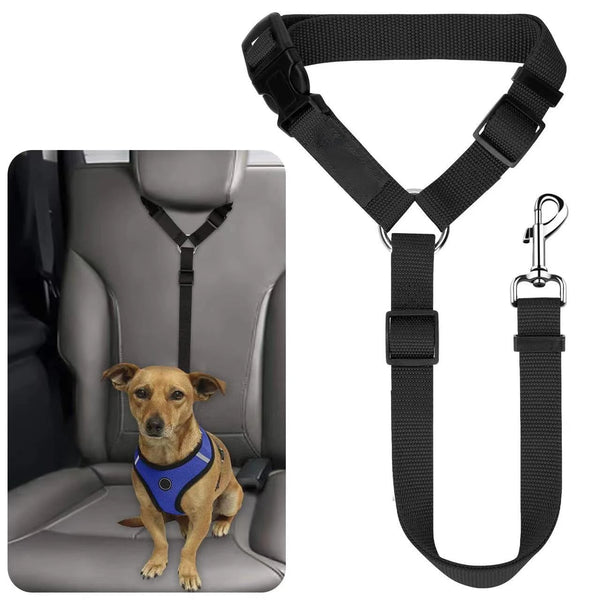 Black adjustable pet harness and leash combo with a dog sitting on a gray car seat.