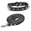 Studded PU Leather Dog Collar with Metal Accents
