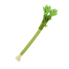 A green catnip chew stick with a squeaker and a tassel.