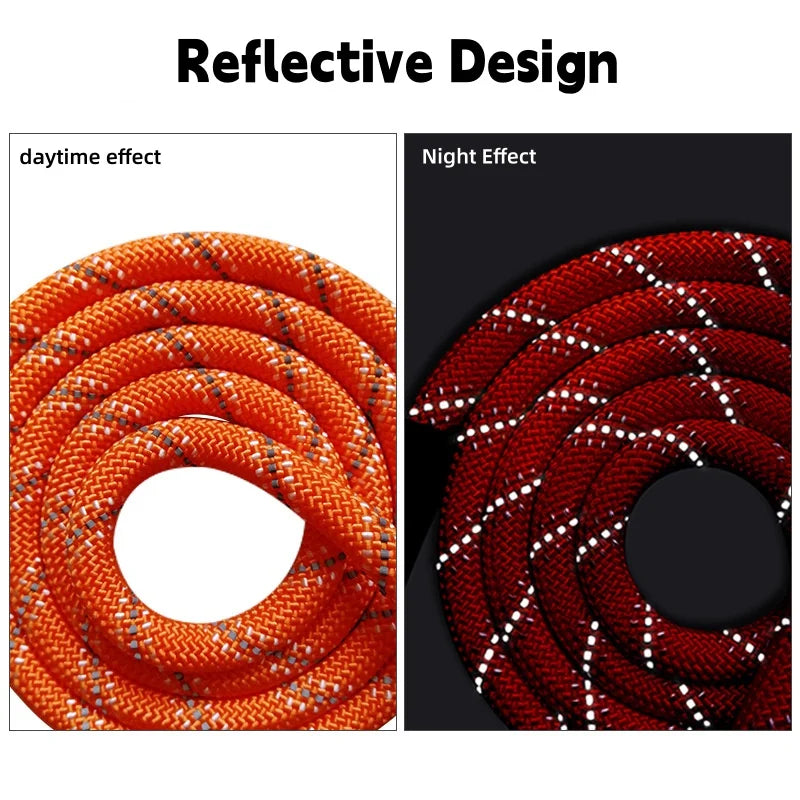 Reflective nylon dog leash showing daytime orange and night red glow effects.