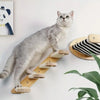 Wall Mounted Cat Climbing Frame 50cm with Hammock