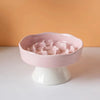 Ceramic Elevated Cat Bowl with Slow Feeder Design