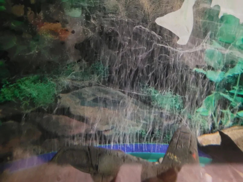 Barre de pierre poreuse pour aquarium