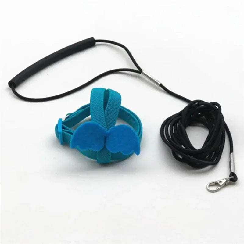 Blue parrot flying harness with a black cord and clip