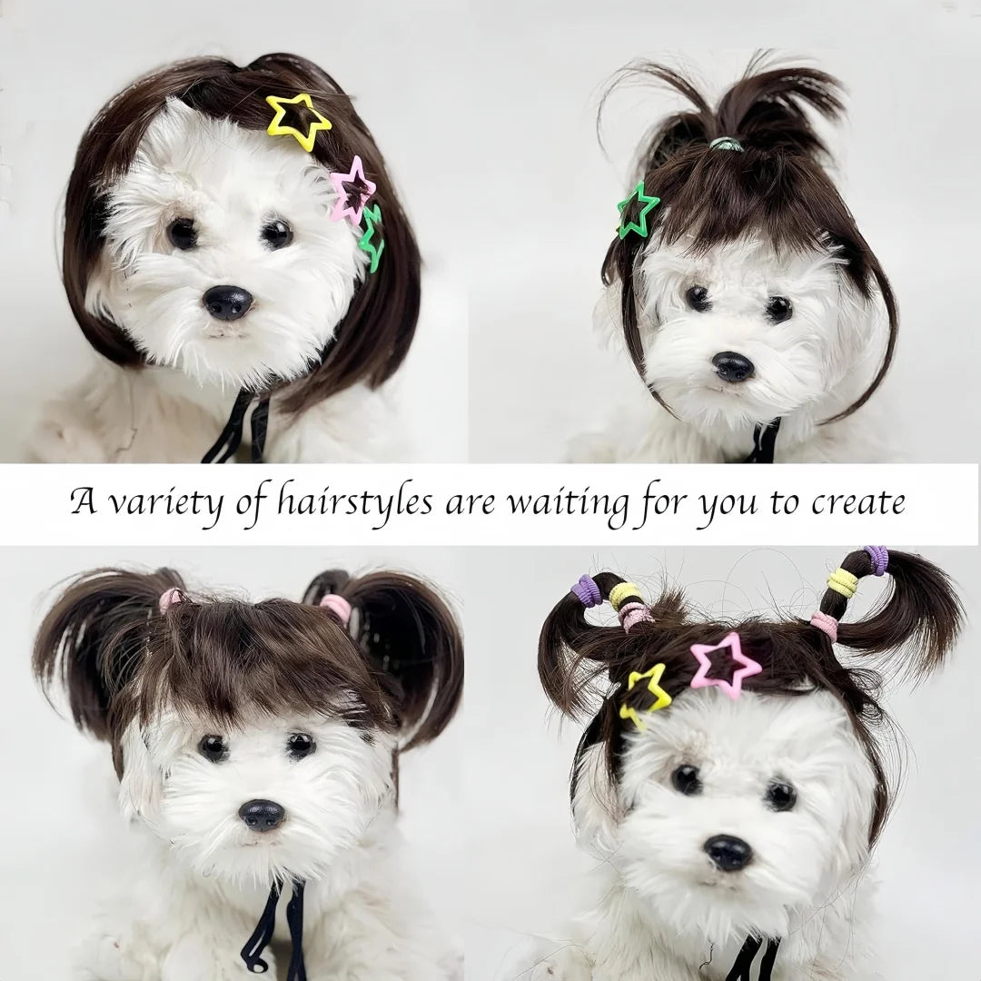 Pet Bob Wig – Funny Cat & Dog Costume Accessory