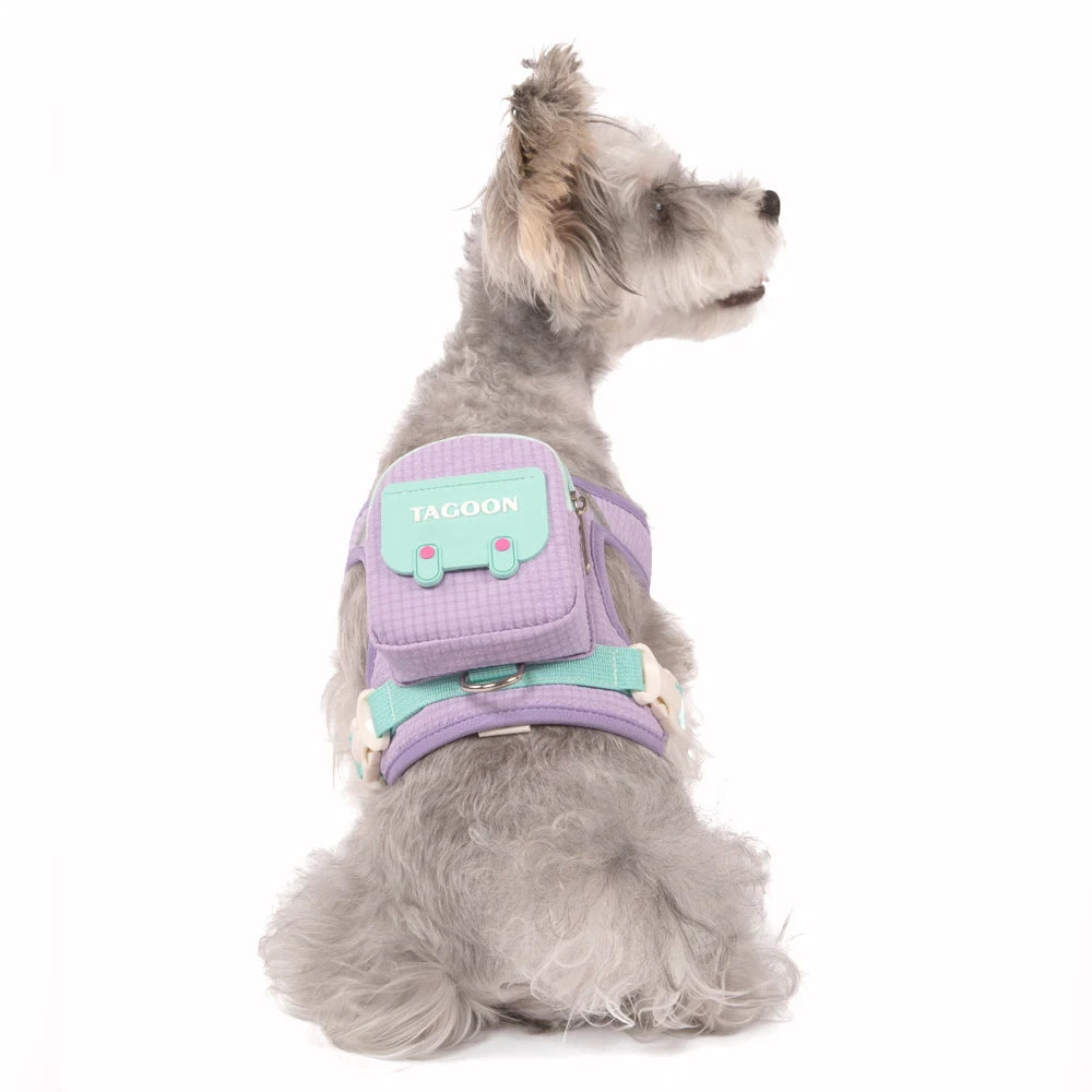 A light gray dog wearing a purple pet backpack harness.