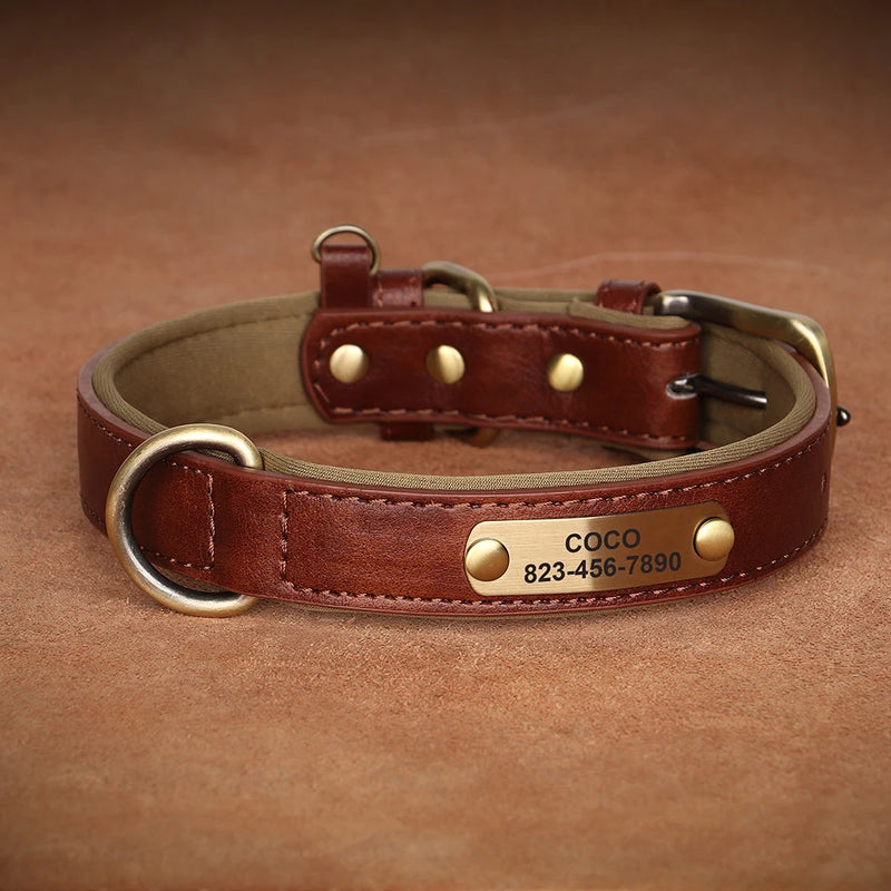 Personalisiertes Leder-Hundehalsband mit graviertem ID-Tag
