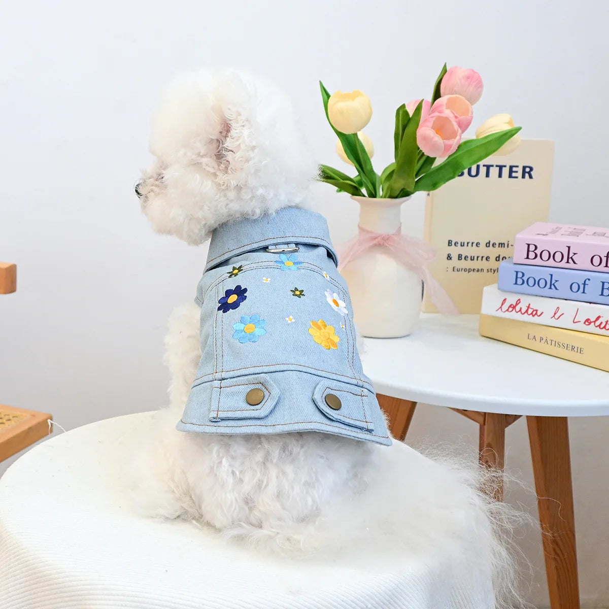 Charming Denim Jacket for Small Dogs with Playful Prints