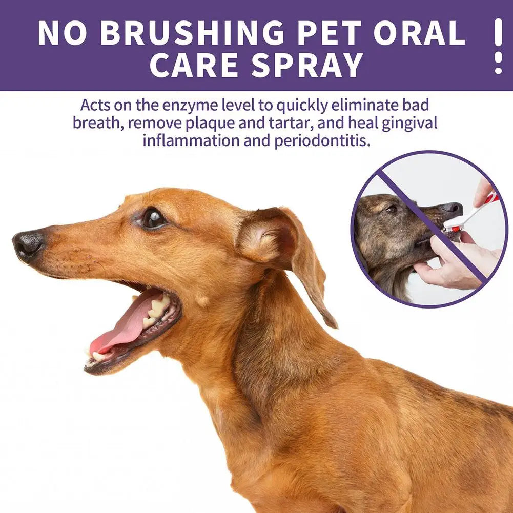 A brown dog is shown with a bottle of no brushing pet oral care spray in the background.