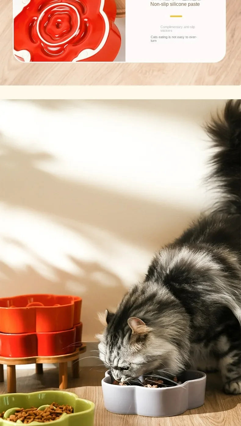 Ceramic Slow Feeder Bowl for Cats and Small Dogs