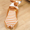 Adjustable Dog Diaper Pants with Suspenders
