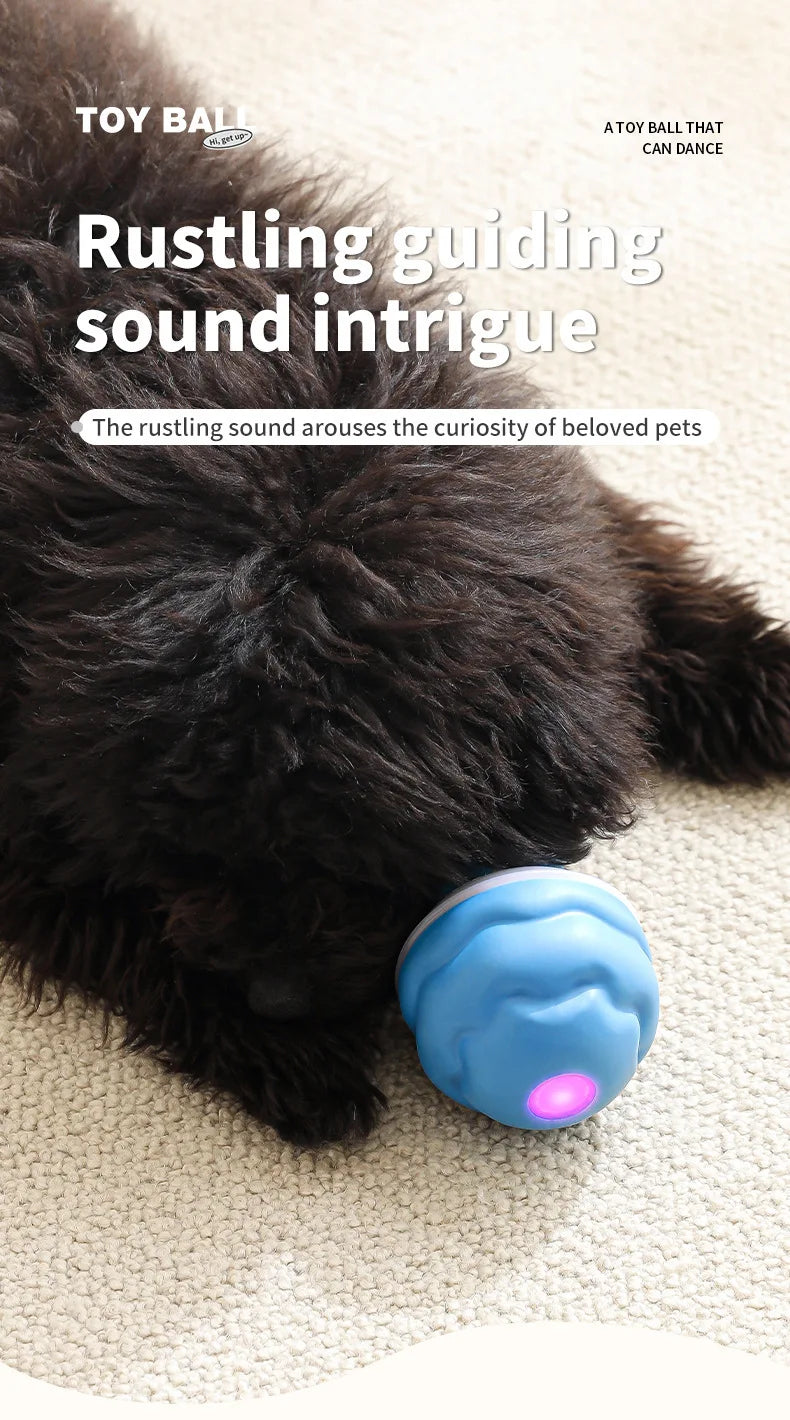 Interactive Rolling Dog Ball with Motion Sensor and Rope
