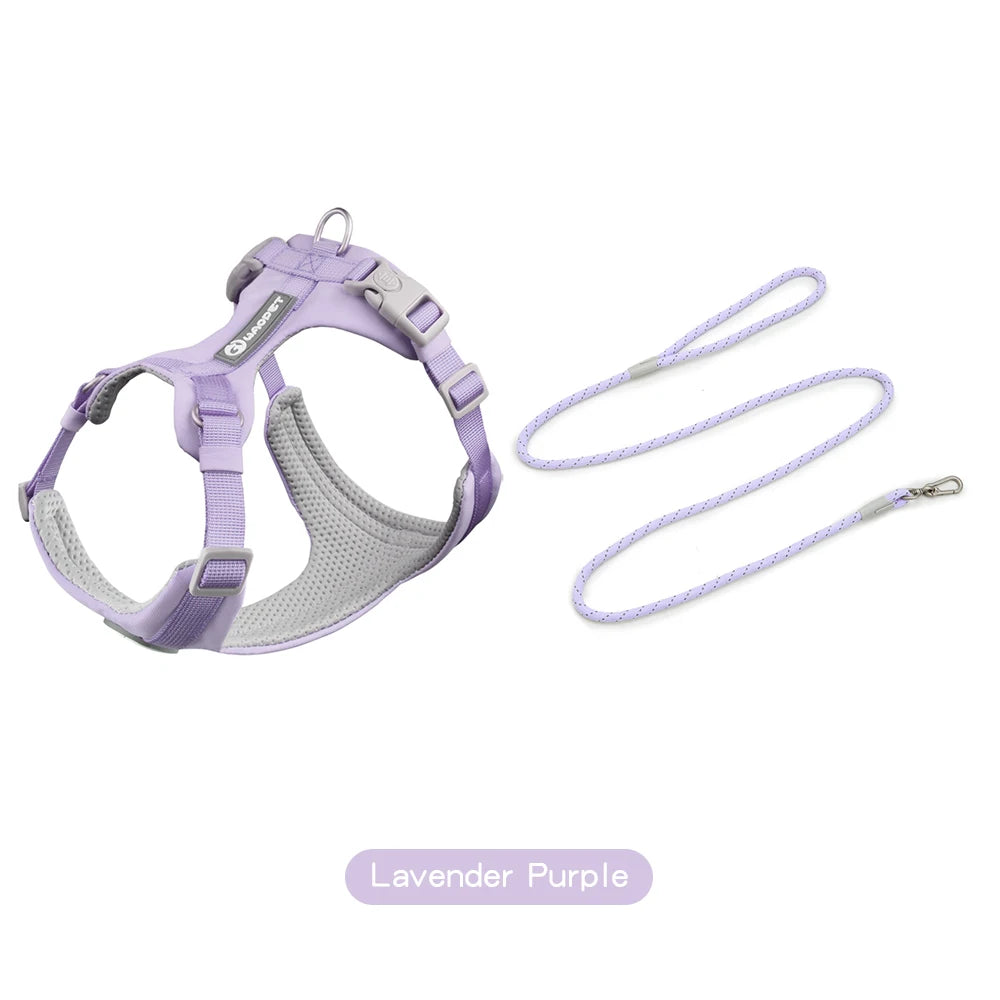 A lavender purple adjustable dog harness and matching leash set.
