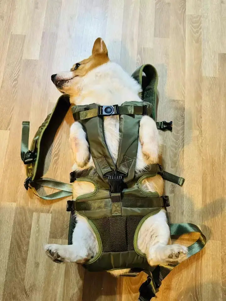 Mochila Portaperros de Pecho