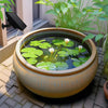 Solar Powered Pond Aerator with Battery Backup