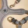A gray comfort fit dog harness and leash set with a silver clip and a circular emblem.