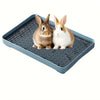 Two fluffy rabbits sitting on a blue plastic pet litter box grate