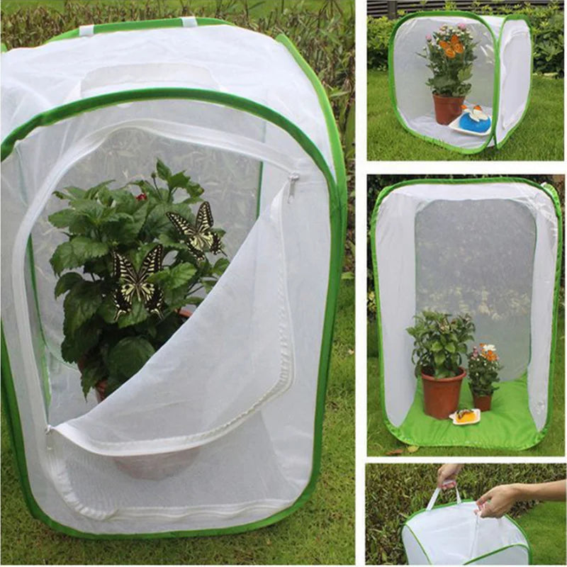A white mesh insect breeding cage with a green trim is shown in various views, including one containing a plant.
