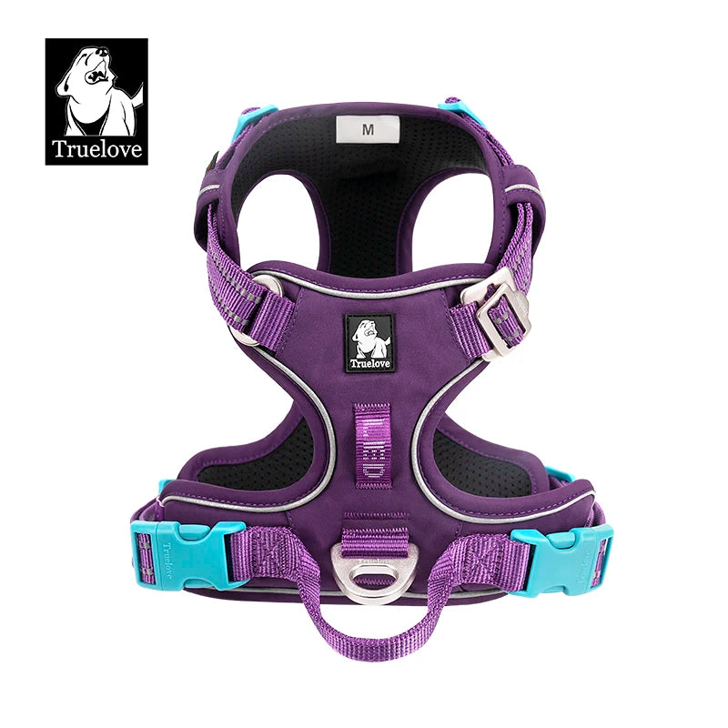 Lila gepolstertes Nylon-Hundgeschirr mit reflektierender Zierleiste und silberner Schnalle.