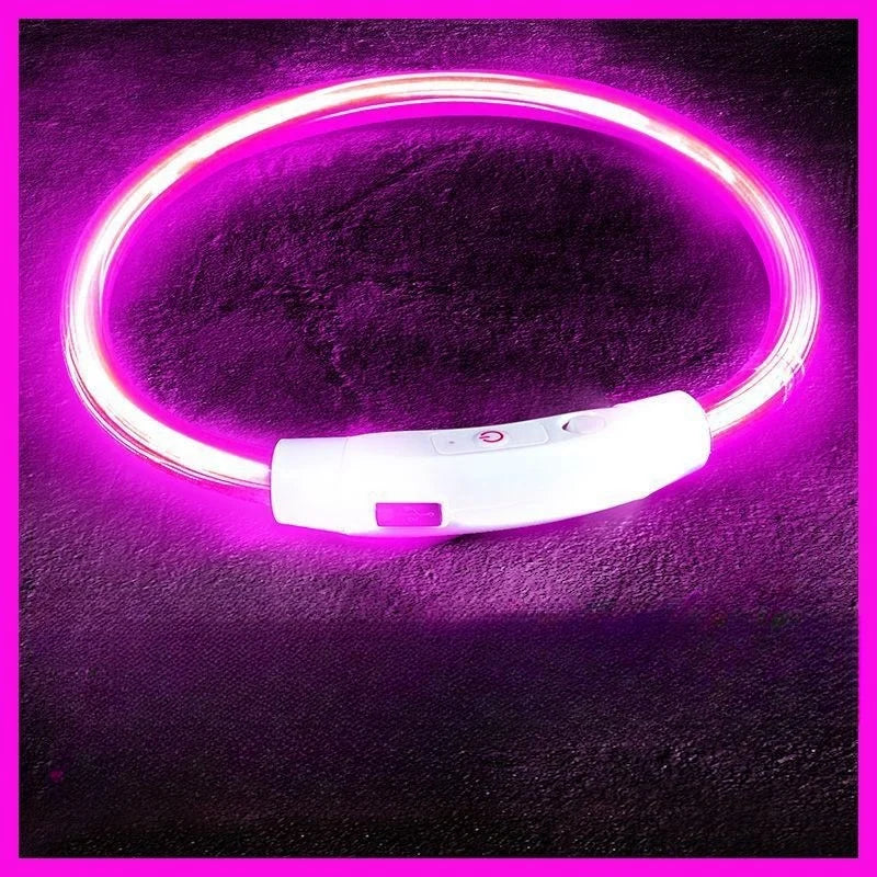 USB-aufladbarer LED-Hundehalsband