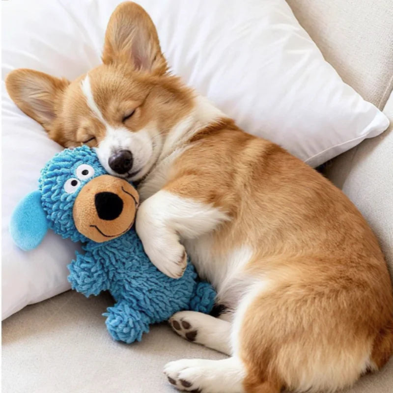 A small Shiba Inu dog is sleeping while cuddling a blue plush toy.