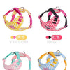 Striped Color-Block Dog Harness with Matching Leash