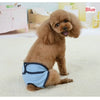 Reusable Dog Diapers for Heat Cycles and Incontinence
