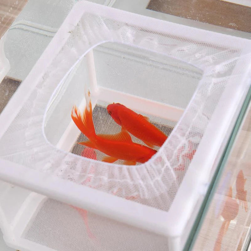 Aquarium Fish Breeding Isolation Box with Suction Cups
