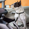 Verstellbares Hundegurt-Geschirr für das Auto