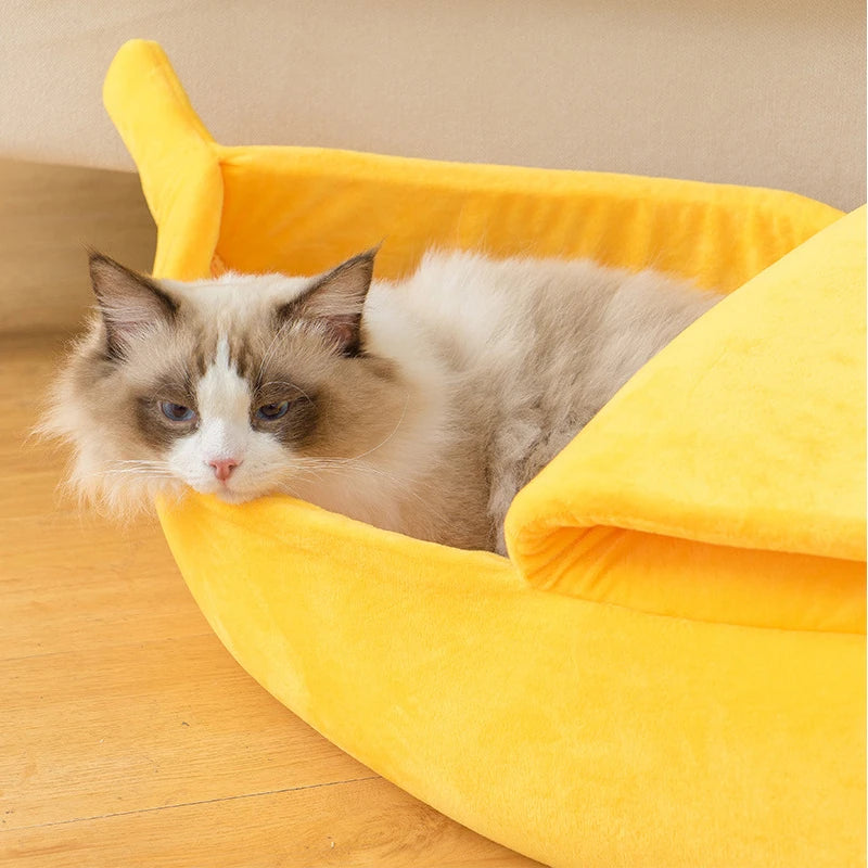 Un chat gris et blanc duveteux se repose dans un lit pour chat en forme de banane jaune vif.