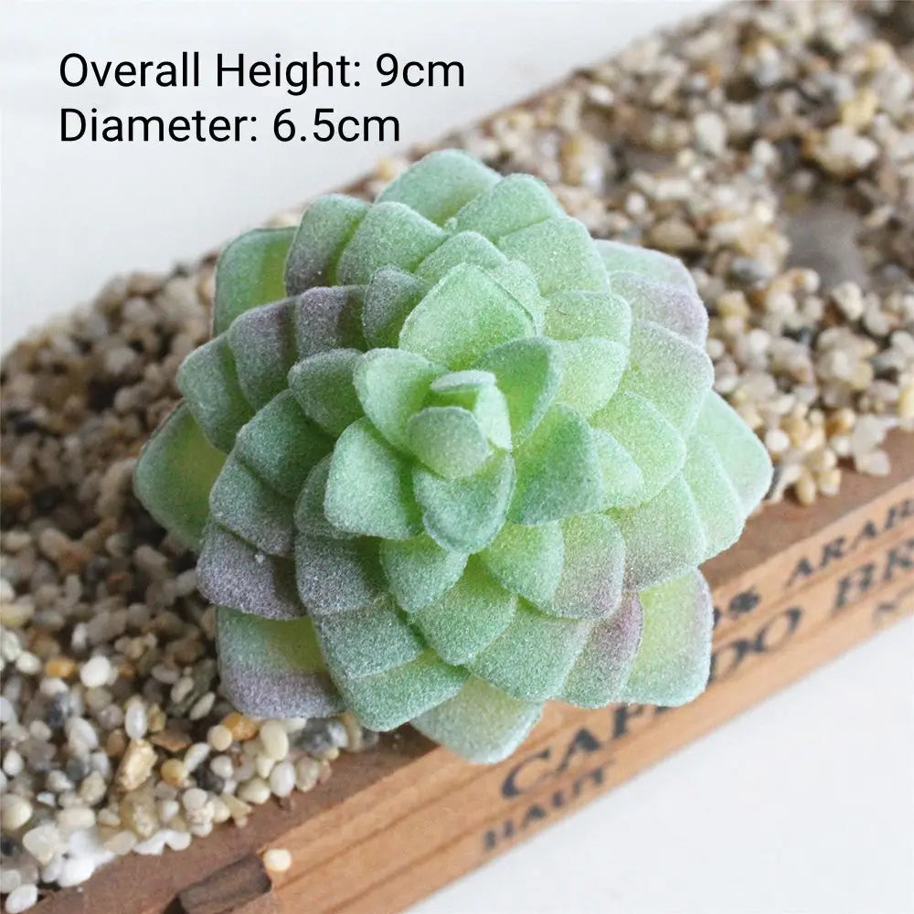 A round, pale green succulent plant with gray tips is displayed on a wooden surface next to small pebbles.