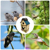 Handcrafted Wooden Hanging Birdhouse for Garden Decor