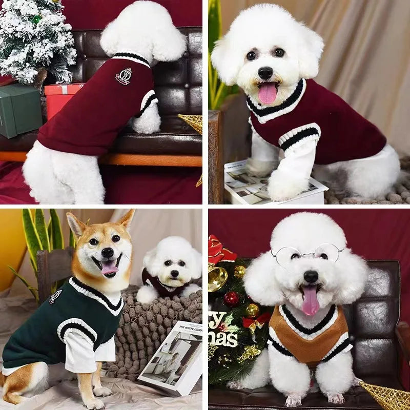 Classic V-Neck Knit Dog Sweater for Fall & Winter