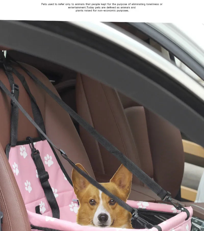 Un petit chien brun est assis dans une caisse de transport pliable rose à l'intérieur d'une voiture.