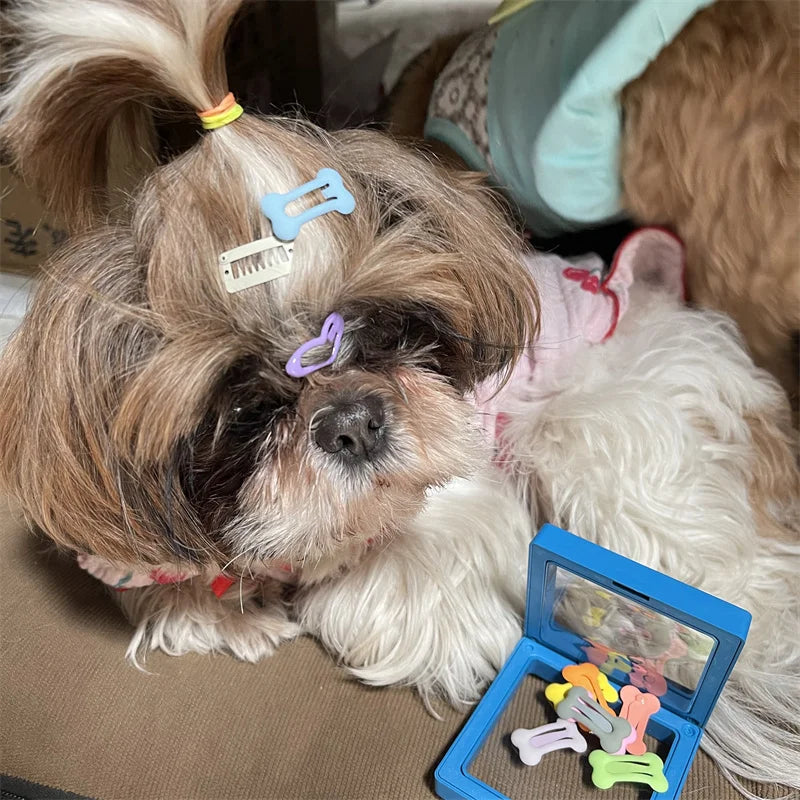 Bone-Shaped Pet Hair Clips for Dogs and Cats