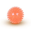 Squeaky Rubber Dog Ball Toy