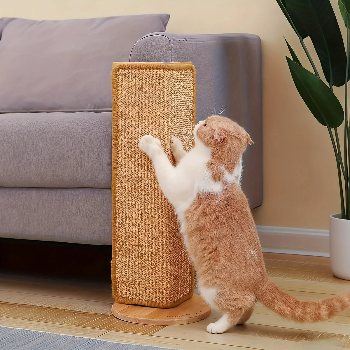 A fluffy orange and white cat is playing with a natural sisal scratching mat on a wooden base.