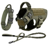 A tan dog harness and leash set with various straps and buckles shown separately.