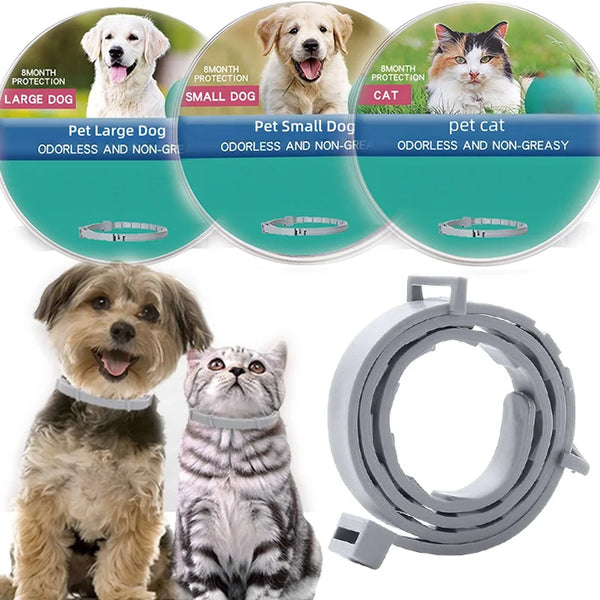 A set of adjustable pet collars for large dogs, small dogs, and cats shown alongside live animals.