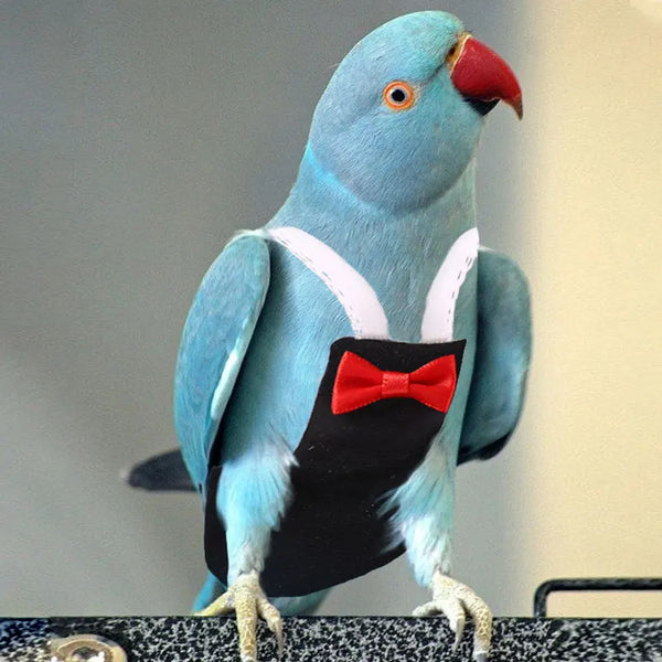 Bird Diaper with Bow Tie for Parrots
