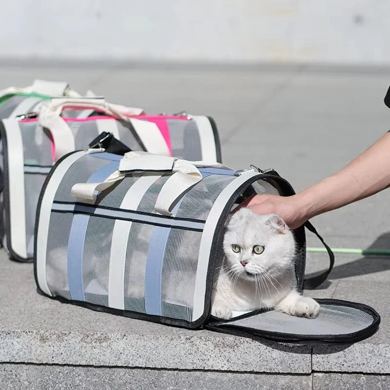 A white cat is sitting inside a gray and white mesh travel carrier bag on a concrete surface.