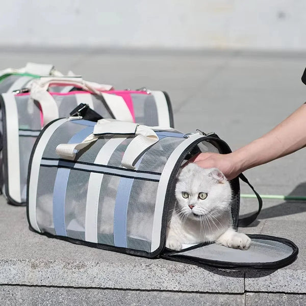 A white cat is sitting inside a gray and white mesh travel carrier bag on a concrete surface.