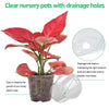 Clear Plastic Nursery Pots with Drainage Holes (Pack of 30)