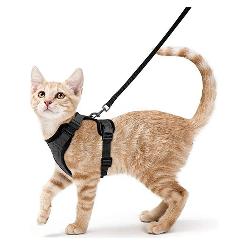 Ausbruchssicherer Katzengeschirr mit Leine