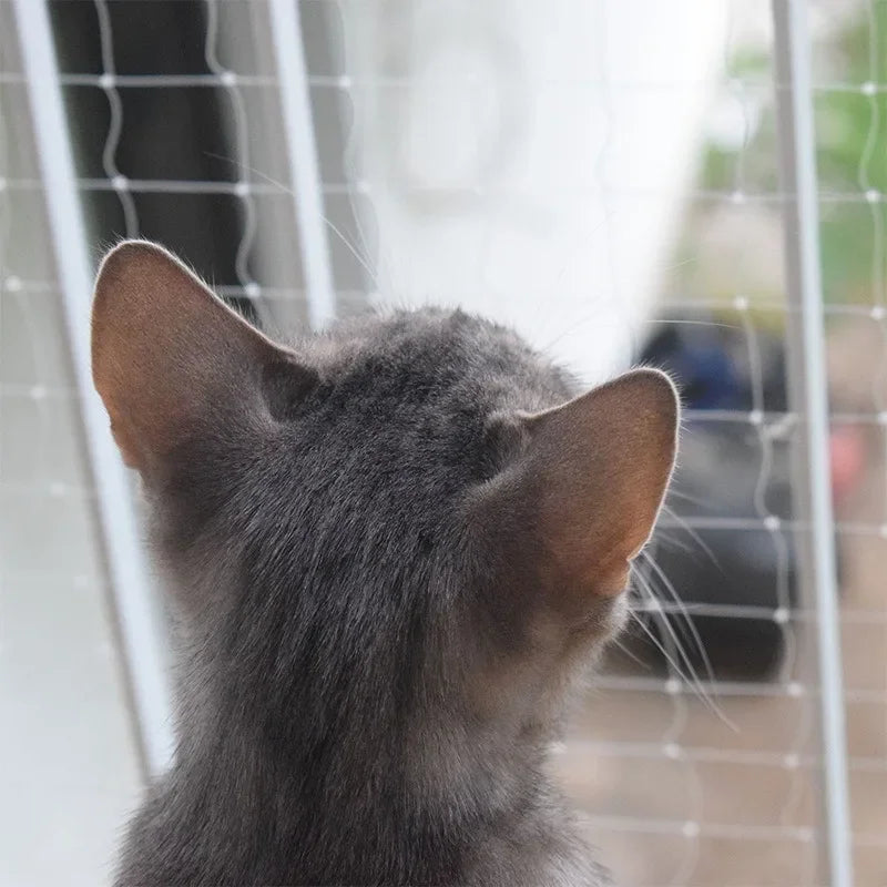 A gray cat's head looking through a wire mesh window safety net.